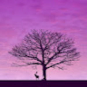 Meet your Posher, Celeste